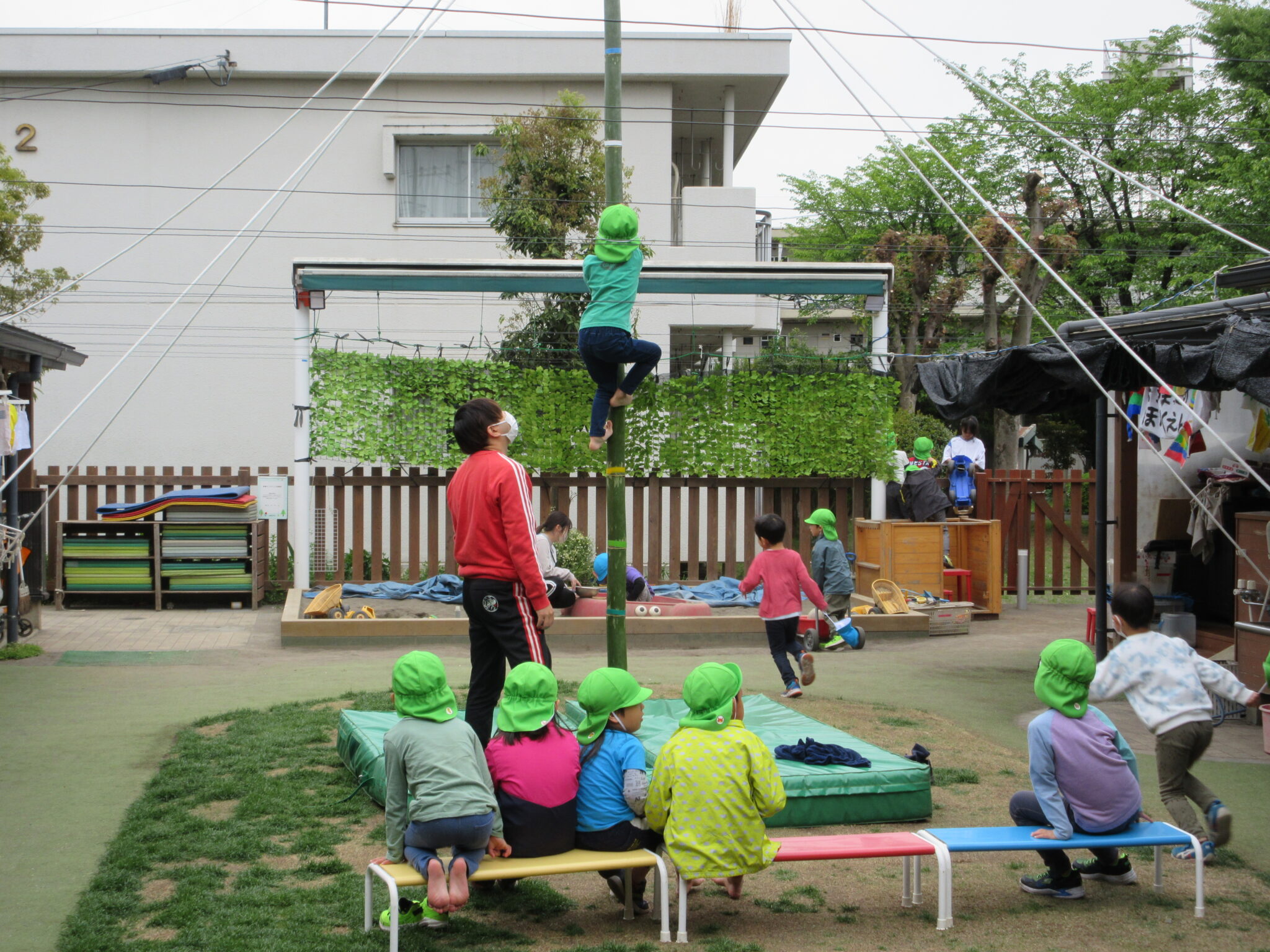 竹登り！ | まつぼっくり保育園